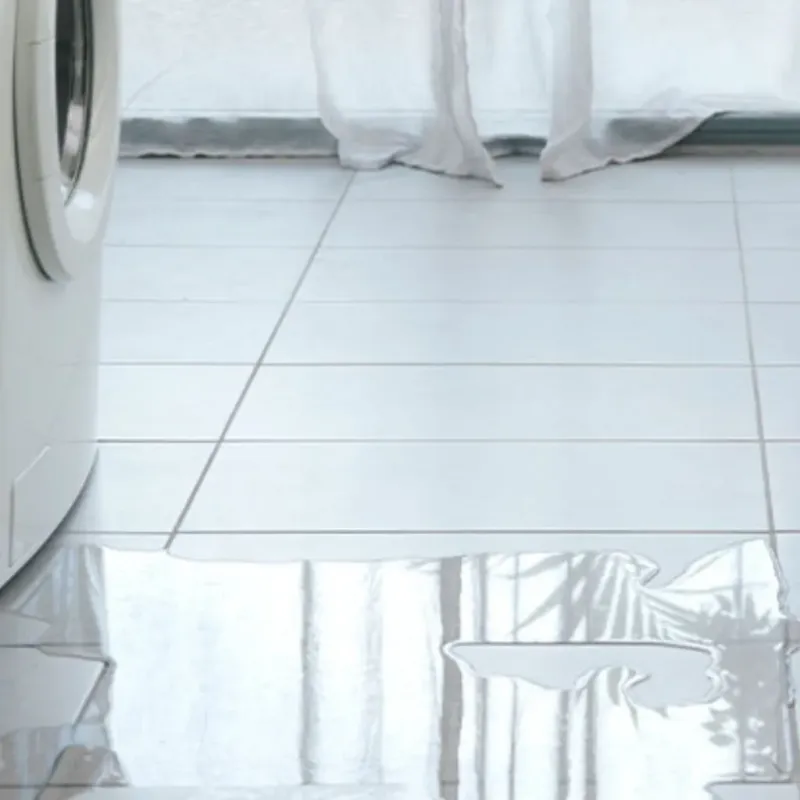 Appliance Leak Cleanup in Orange, VA