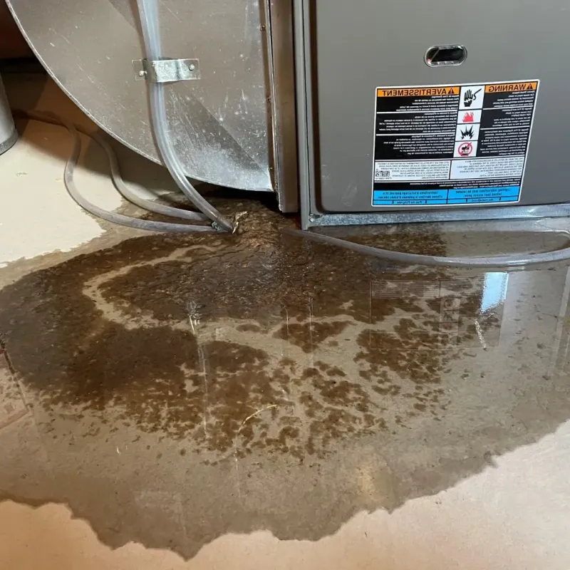 Pipe Burst and Leak Restoration in Orange, VA