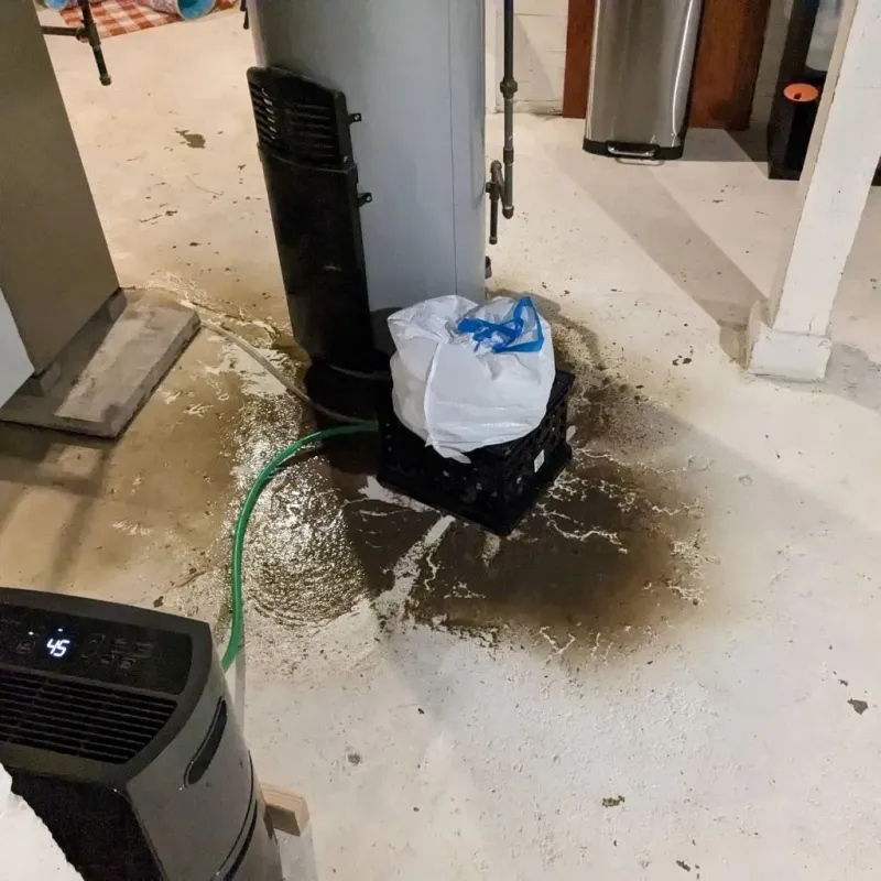 Sewage Backup Cleanup Service in Orange, VA